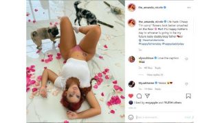 Amanda Nicole Nude Onlyfa Fucking Porn Videos Leaked