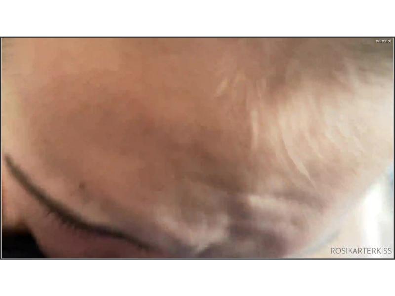 Rosi Karter OF BGG Threesome Sex Tape Video Leaked