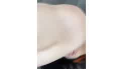 Feh Galvao Nude Onlyfans Cosplay Teen Brazil Photos And Video