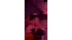 Jxycexo Nude POV Blowjob Video Leaked