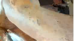 Katie Gcups Nude Missy Kj Sextape Onlyfans Video