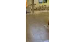 Amber Ajami Fuck Video Leaked
