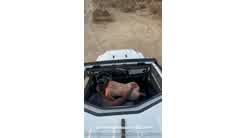 Ashley Aoky Car Sex Tape Video Leaked