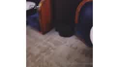 Chloe Lamb Casino Sex Tape Video Leaked