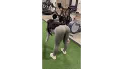 Dessy Girl Sex with Her Gym Trainer Onlyfans Video Leaked