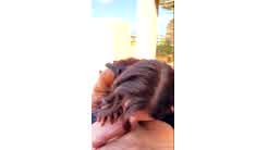 Emily Black Terrace Sex Tape Video Leaked