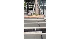 ScarlettKissesXO Pool Day BG Fuck Video Leaked