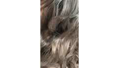 Stella Violet Onlyfans Car Blowjob Video Leaked