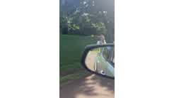 Trippie Bri Door Dash Car Sex Tape Video Leaked